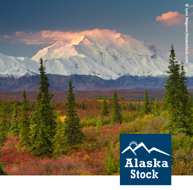 Alaska Stock